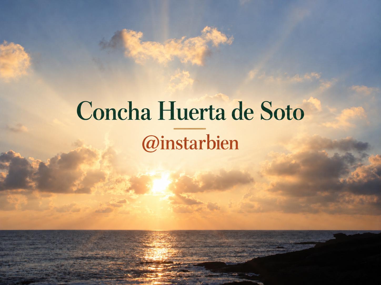 Concha Huerta de Soto · @instarbien